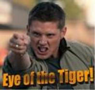 Jensen's Eye of the Tiger